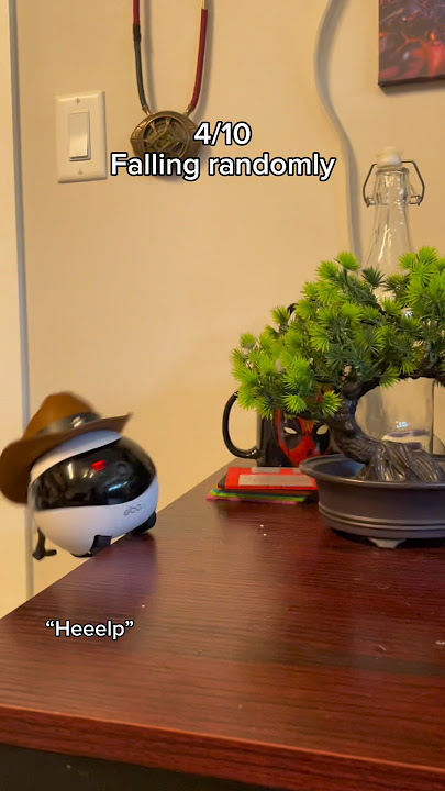 This little robot is so goofy 😭💕 #robot #couple #longdistance