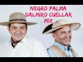 Mix enganchadosnegro palmadalmiro cullar 2020