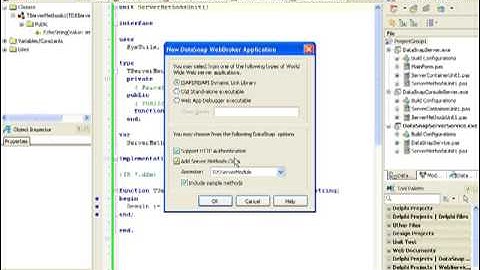 Bob Swart - DataSnap 2010 - Section 2