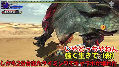 セイカー Youtube