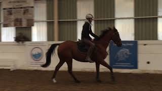 Connor & Paddy flatwork & jumping at home.