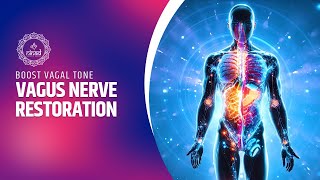 Boost Vagal Tone: Vagus Nerve Restoration Meditation Music | Releasing Trauma From Your Body