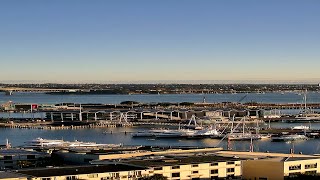 Auckland Viaduct Sunrise · 16 May 2026 · 4K Live Cam #Shorts