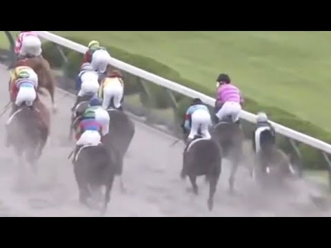 2021/05/02 阪神2R 裁決パトロール 【北村友一騎手落馬】