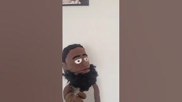 What we all would really like to say in are job interviews 😂🤣😂 #puppet #handpuppet #interview #fyp