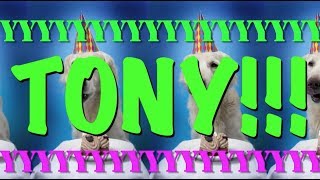 Happy Birthday Tony Epic Happy Birthday Song Youtube