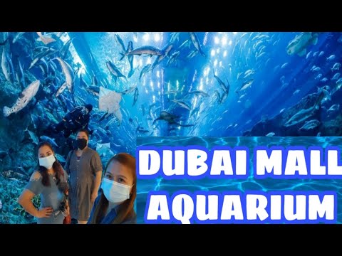 Dubai Mall Aquarium/Exploring Dubai 2020