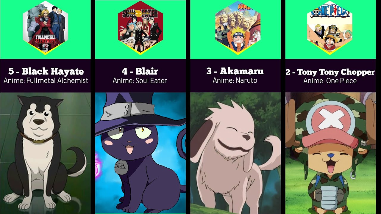 Comparison The Best Animal Anime Characters YouTube