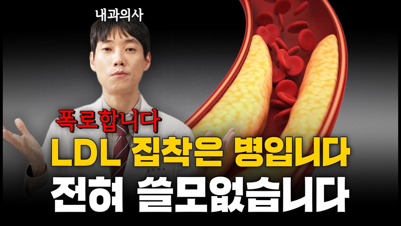현직 내과의사가 알려주는 콜레스테롤 수치 의미없는 이유ㅣ작고 조밀한 LDLㅣ고지혈증 검사할 때 꼭 봐야 하는 수치 ApoBㅣ닥터딩요