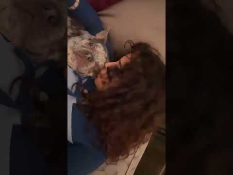 Malu Trevejo dog sleep in bed 🛌