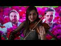Musica Leggerissima -Violin Cover - COLAPESCE E DIMARTINO