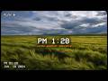 Windy Weather Ambience 🌬️ Strong Wind Sounds & Cozy Atmospheric Noise for Sleep and Relaxation