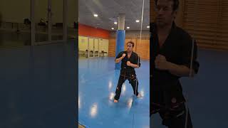Llega el verano y hay que prepararse#clubjiujitsusantcugat #training #shadowboxing #martialarts #fun