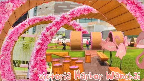 Harbour Chill 'fun' Wanchai | ai-aiHK vlog