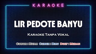 LIR PEDOTE BANYU - Karaoke Tanpa Vokal  |   Catur Arum feat Dini Kurnia