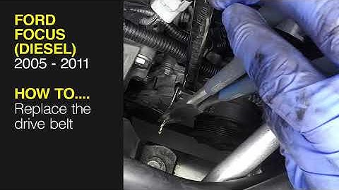 Ford Focus (2005 - 2011) Diesel - Replace the drive belt