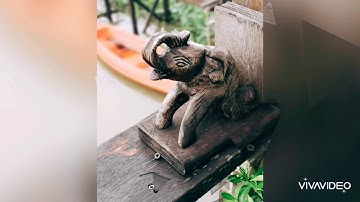 ชิวๆ​ 1​คืน​ @Baangolite Farmstay