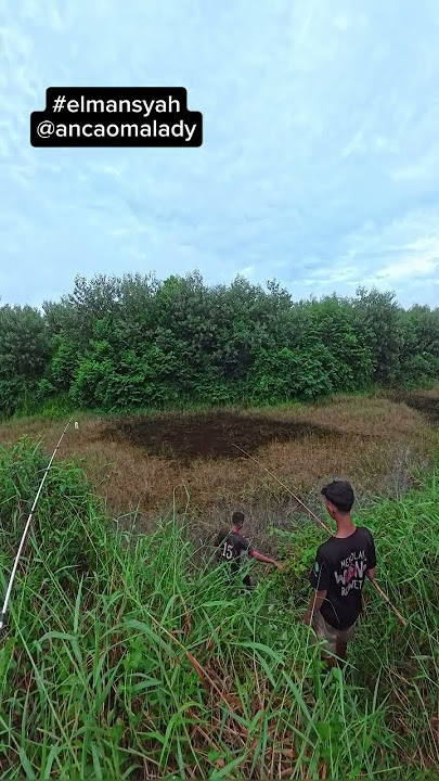 kalau ucul memang gedi lek #fishing #sarangikannila #mancing