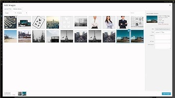 Phoenix Minimal WordPress Theme Changing Home Section