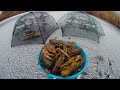 ЛОВЛЯ РАКОВ ЗИМОЙ! Ставим раколовки под лед. Простой способ наловить раков зимой. Winter crayfish.