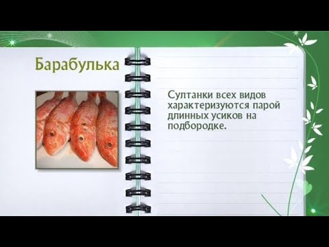 Барабулька