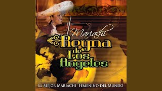 Video voorbeeld van "Mariachi Reyna De Los Angeles - Declarate Inocente"