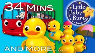 five little ducks on a bus plus lots more nursery rhymes 34 minutes from littlebabybum