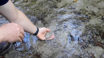 Collecting water quality data with a #smartphone?