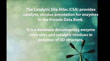 Computer Aided Drug Design(CADD). Second assignment