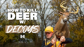Whitetail Hunting with a Decoy | Tips and Tactics for Big Bucks