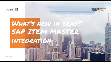 SAP Item Master Data window with integrated Beas functions