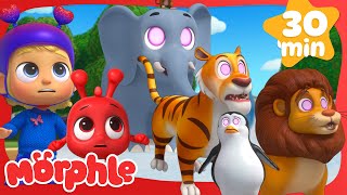 the animals are hypnotized again cartoons for kids mila and morphle
