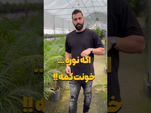 گیاه برای خونه های کم نور