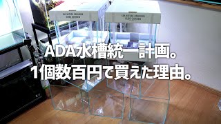 【水槽ガチャ】家の水槽を全部ADAにする一大計画。10個のADA水槽を追加するための秘策。#330【アクアリウム】