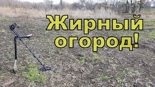 Бомбанули очень жирный огород Коп с NOKTA Anfibio Multi Фильм 133