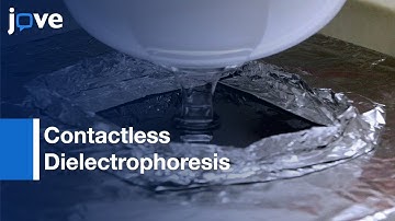 Contactless Dielectrophoresis: Cell Study | Protocol Preview
