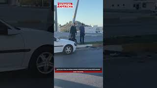 Refüje Çikip Ağaçlari Devi̇rdi̇