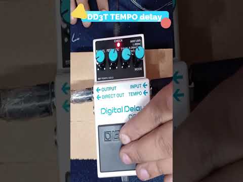 DD3T Short Tempo Delay Sound Shorts Dd3