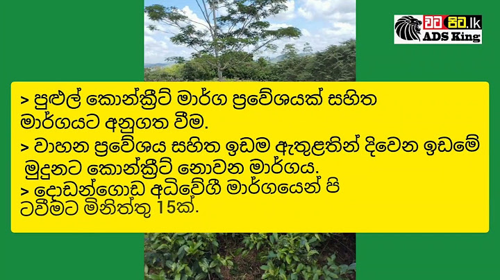 Tea with Rubber Land for sale in Matugama Sri Lanka