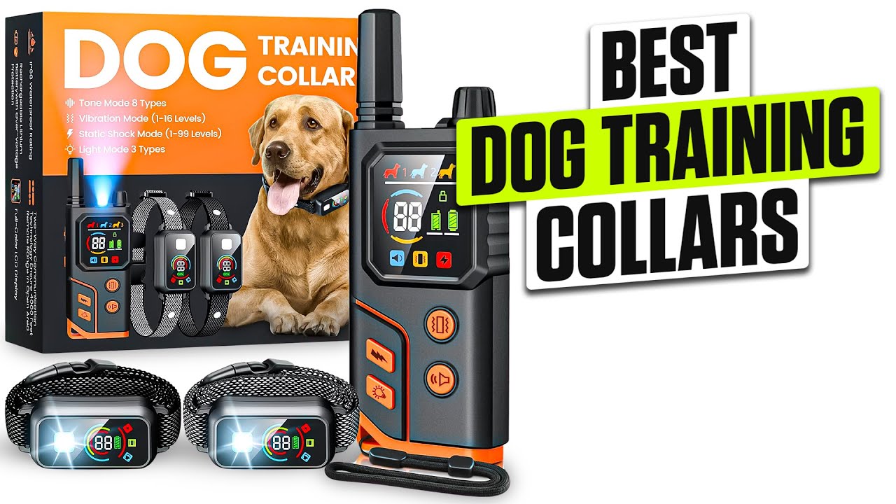 3 BEST Dog Training Collar - Stop Wasting Time with Weak Collars!