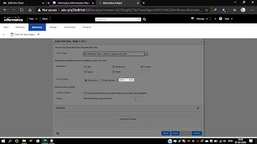 2  Importing flat file and quick profilling in analyst server