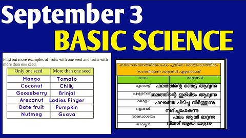 Victers Class 6 Basic Science Worksheet