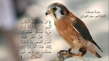 تلاوة تهتز القلوب سورة يوسف أحمد سعيد العمراني☺ HD