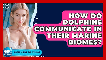 How Do Dolphins Communicate In Their Marine Biomes? - Water Science For Everyone