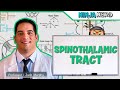 Ascending Tracts | Spinothalamic Tract