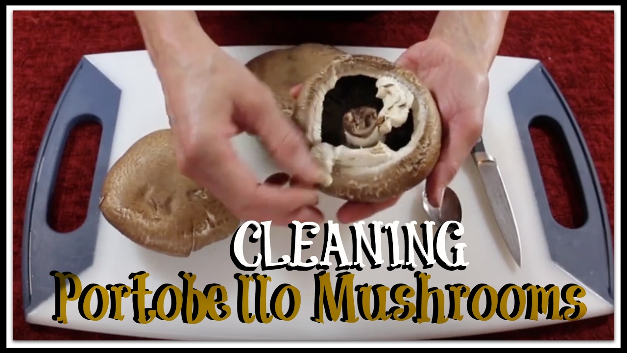 How to clean Portobello Mushrooms - YouTube