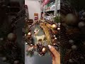 video 2024 12 06 23 39 02