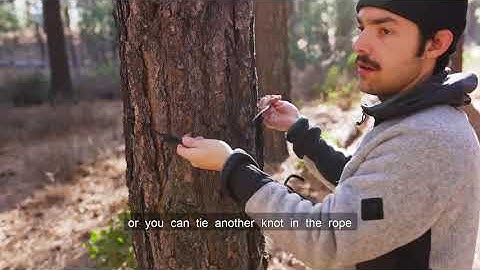 Wise Owl Hammock for Camping and the Outdoors