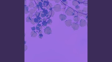 Pulsating Backdrops for Rejuvenating Massage