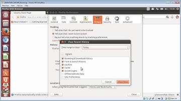 Clear history & cookies in Firefox (LINUX)